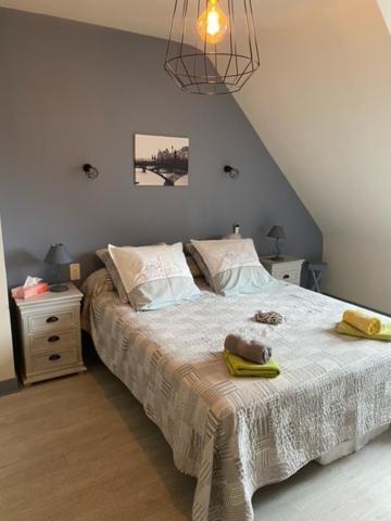 Chambres Du Vau-Nogues Pleudihen-sur-Rance Luaran gambar